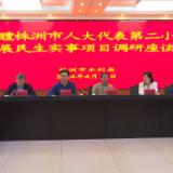  驻醴株洲市人大代表第二小组赴株洲调研 刘柏生参加，贺小玲讲话