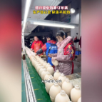 融媒新视界