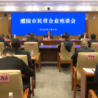 醴陵召开民营企业座谈会，王利波讲话，刘新华主持