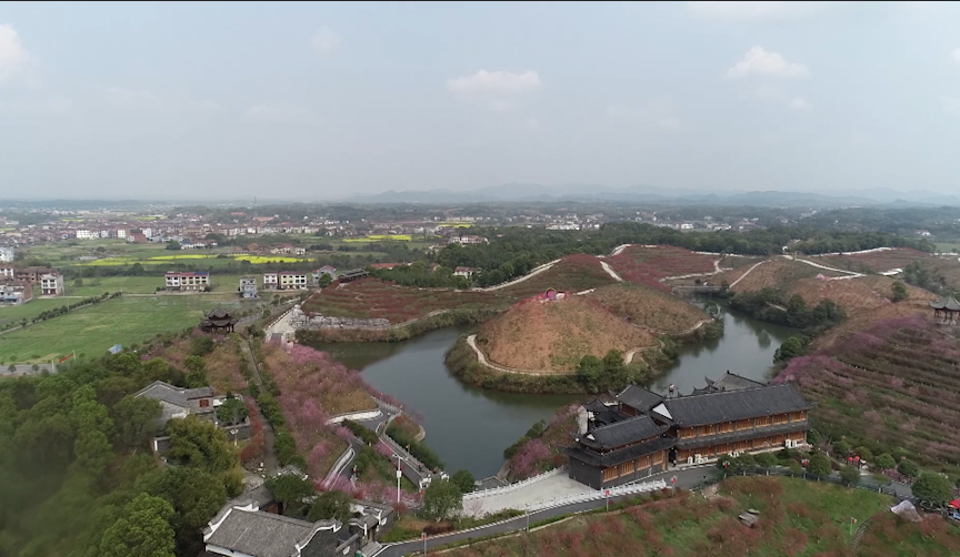 清水湾畔景区 ,千亩桃花竞相绽放 - 醴陵新闻网