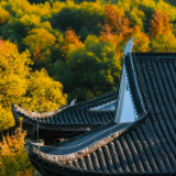 正式命名！醴陵又添一张新名片~