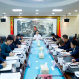 接下来的审计工作，醴陵市委要求这样做