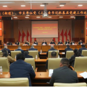 引领高质量发展！2025醴陵党建这么干……