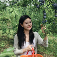 现摘现吃！还能美美出片，谁家果园这么好玩？
