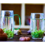 我把奶茶🥤换成了它（听劝版）
