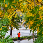 请收下这份来自醴陵初冬的色彩笺！