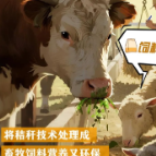 别烧了！它有大用处……