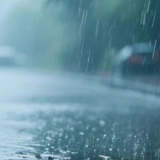 暴雨+强降雨,醴陵人请注意!
