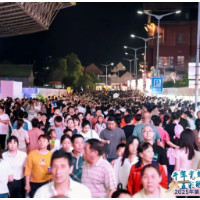 想到醴陵人多！但没想到这么多……