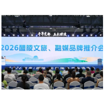 这场推介会上，我们交出了一份亮眼的成绩单！