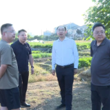蒋长富“四不两直”督导秸秆禁限烧和火点管控工作
