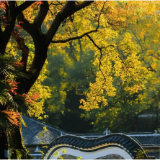 连休五天！醴陵学生秋假时间定了
