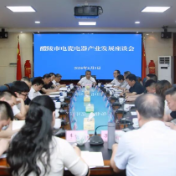 向青松主持召开电瓷电器产业发展座谈会