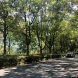 32年,湘西泸溪这条路,为何与株洲醴陵有关?