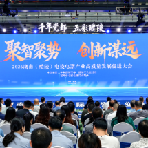 醴陵举行电瓷电器产业高质量发展促进大会