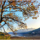 这才是冬天该来的地方→