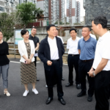 关注这两项重点工作！省人大常委会副主任陈飞率队来醴
