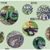 转扩！救命用！醴陵这些医院有抗蛇毒血清