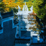 立城有坐标：醴陵四十年文脉深耕与时代破局