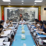 十三届中共醴陵市委第九轮巡察工作书记专题会召开
