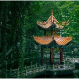 预告 | 想念不如再见，还记得瑞渌池畔的青葱岁月吗？