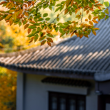 最低13℃!强冷空气即将来袭