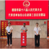 向青松等领导参加新一届醴陵市人大代表投票选举