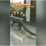 融媒新视界