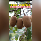 融媒新视界