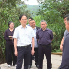 王利波赴李畋镇、白兔潭镇调研督导工作