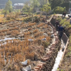 【走在乡村振兴大道上】沩山泉水村冬休水利过半 为来年丰收护航