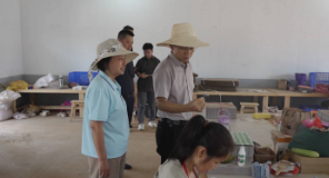 阳建赴孙家湾镇、沈谭镇 督导安全生产、走访联点企业、联系重点项目等工作