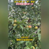 融媒新视界