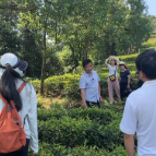 【走在乡村振兴大道上】株洲市“主播下乡”首场助农活动启幕，19名主播为农特产“云端带货”
