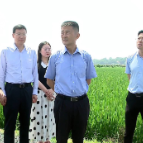 范骁骏来醴督导调研农业基础设施配套建设和农机设备购置情况，余雄、余群明参加