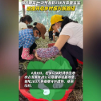融媒新视界