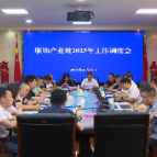 服饰产业链2025年工作调度会召开 阳建参加