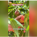 融媒新视界