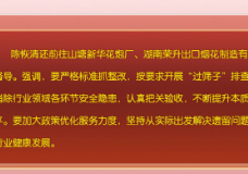 【安全生产在行动 】督导烟花爆竹生产企业安全隐患整改工作  陈恢清来醴，王利波参加