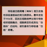 【健康与生活】呼吸道感染季提前！如何预防早知道