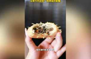 融媒新视界 