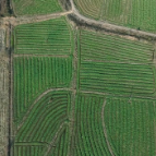 【走在乡村振兴大道上】从“冬闲田”到“致富田”，孙家湾盘活荒地闲地，激活乡村振兴新动能