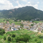 【走在乡村振兴大道上】投产在即！明月镇深加工项目激活“醴陵玻璃椒”产业新动能