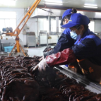 【新春开门红】春节卖断货 节后生产忙！醴陵酱板鸭企业“踩满油门”赶订单