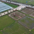 【人勤春来早】泗汾镇：科技助耕忙 自动化设备助力2100亩农田集中育秧
