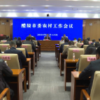 【走在乡村振兴大道上】醴陵召开市委农村工作会议，王利波讲话，蒋长富主持