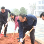 2026年春季义务植树活动举行，蒋长富、贺小玲、廖胜云参加