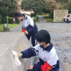 【新时代文明实践在醴陵】行走的课堂！醴陵一中学子赴袁昌英纪念园开展学雷锋主题实践