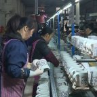 【新春开门红】订单排到5月 同比增长10%  泰鑫瓷业冲刺新春“开门红”！