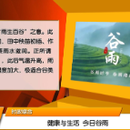 【健康与生活】今日谷雨